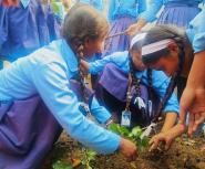 Three Nepali girls with brown skin and long dark braids wearing blue uniforms plant in a garden surrounded by other girls in the same uniform