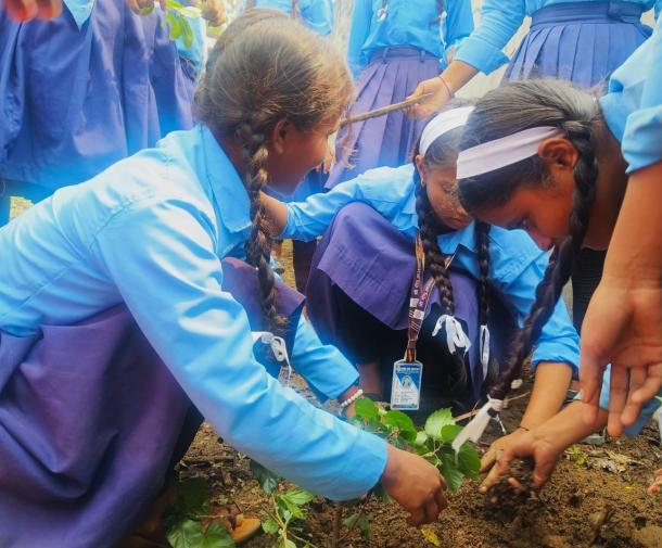 Three Nepali girls with brown skin and long dark braids wearing blue uniforms plant in a garden surrounded by other girls in the same uniform