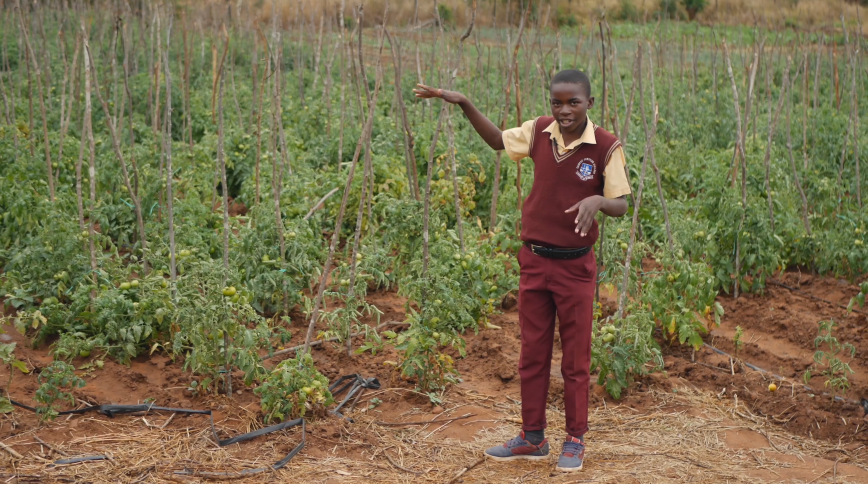 A black boy in a maroon school uniform stands in front of a field of crops, demonstrating their height with his hand
